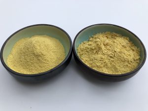 powdered and flake nutritional yeast in two bowls side by side