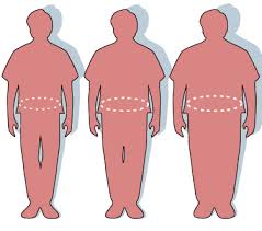 waist circumference