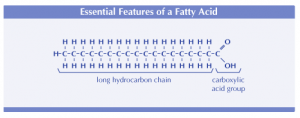 A carbon chain (C) saturated with hydrogens (H)